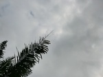 46228CIMG0517.JPG
