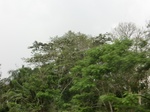 49895CIMG6232.JPG