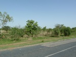 19268P1010114.JPG