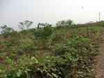 50450CIMG1079.JPG