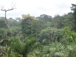 49457CIMG5794.JPG