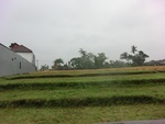 30645CIMG0460.JPG