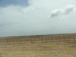 35435DSC02947.JPG