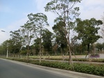 39931CIMG1822.JPG