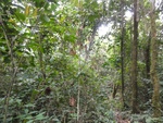 46763DSC02100.JPG