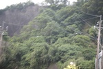 2024-11-21_16-34-27_68BA656C-91DC-40DD-9F4F-567EC48879B3.jpeg