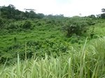 20231P1020086.JPG