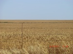 29866CIMG1359.JPG
