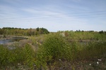 260IMG_4156.JPG