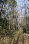 360IMG_3469.JPG