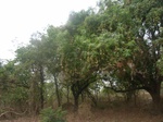 3962RIMG0266.JPG