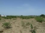 19254P1010100.JPG