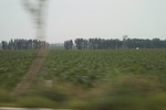 2024-08-05_16-08-52_143A2C8D-A3F7-4E99-B0B0-6BF46E9D5B9A.jpeg