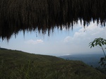 15868IMG_4410.JPG