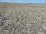 29218GOOD20110406N.JPG