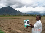 6337069b-irrigated-supplemental-tank-openwell-borewell-sugarcane-maize-onion-singlecrop.jpg