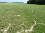29197MCAL20110607GPS.JPG