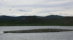 33768CIMG2431.JPG