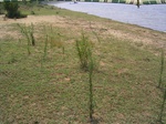 743R0015251.jpg
