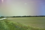 2024-06-17_22-14-45_5D06A4B1-8381-47F5-85E6-43A04DA7FA51.jpeg