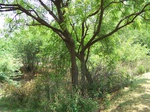 1781524042008(77).JPG