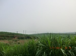 32772CIMG1904.JPG