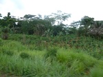 25183P1020023.JPG