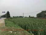 39033CIMG1653.gps.jpg