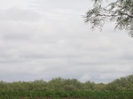 35902DSC02670.JPG