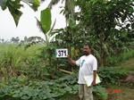 133260371d-irrigated-canal-mixedcrop-sugarcane-dominant-banana.gif