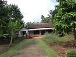 31031CIMG0893.JPG