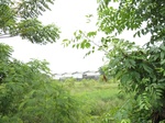 15623IMG_4695.JPG