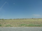 34973DSC01875.JPG
