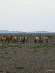 37207CIMG1005.JPG